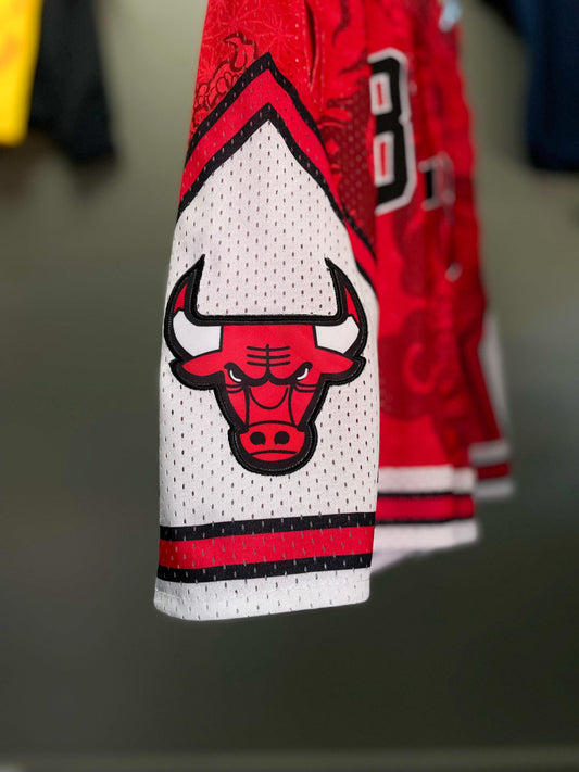 Chicago Bulls "Dragon" NBA Basketball Shorts