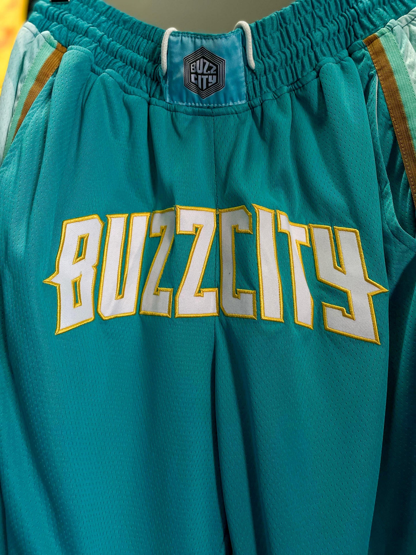Charlotte Hornets "Buzz City" NBA Basketball Shorts