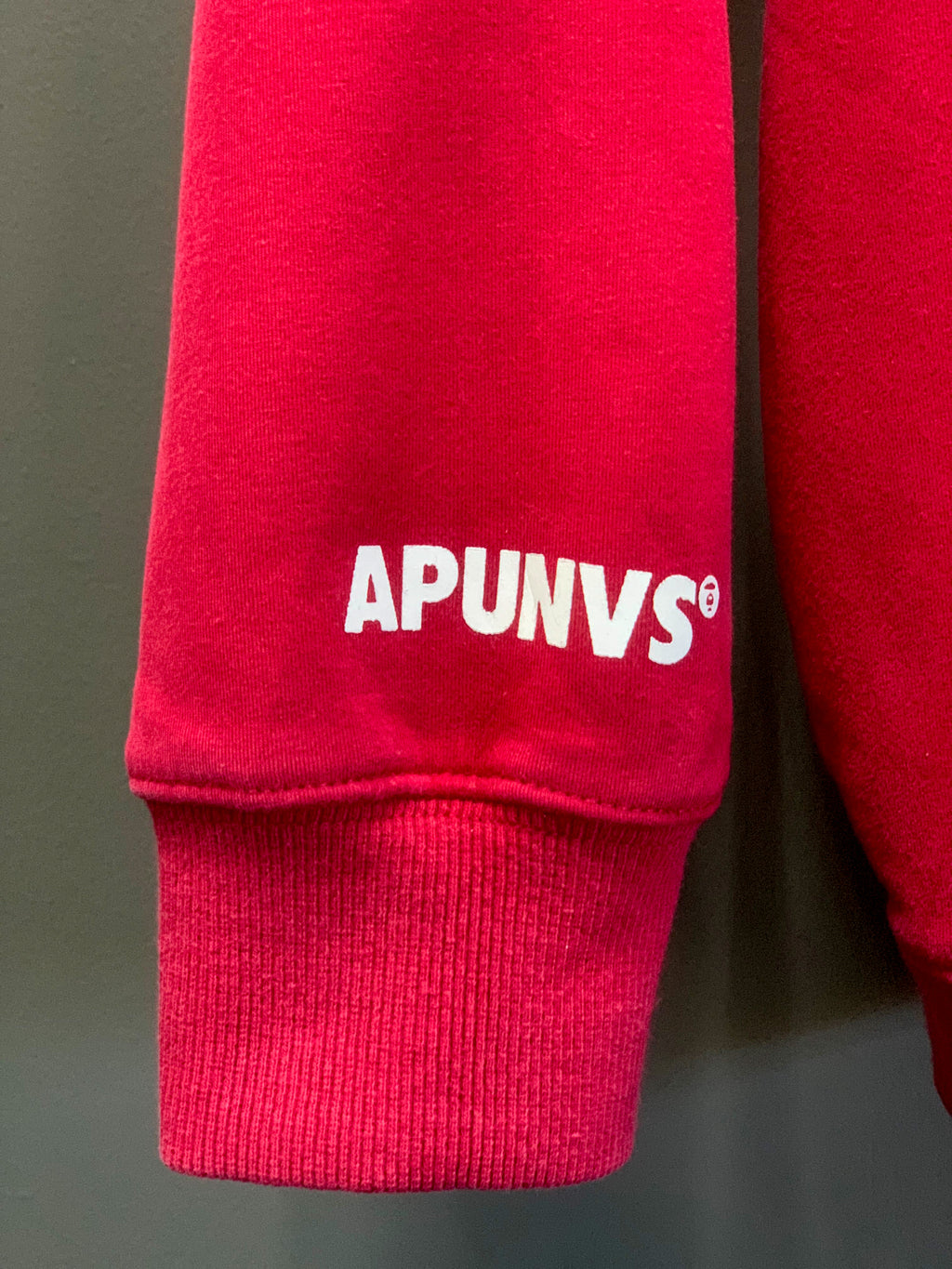 Bape APUNVS Hoodie - Medium
