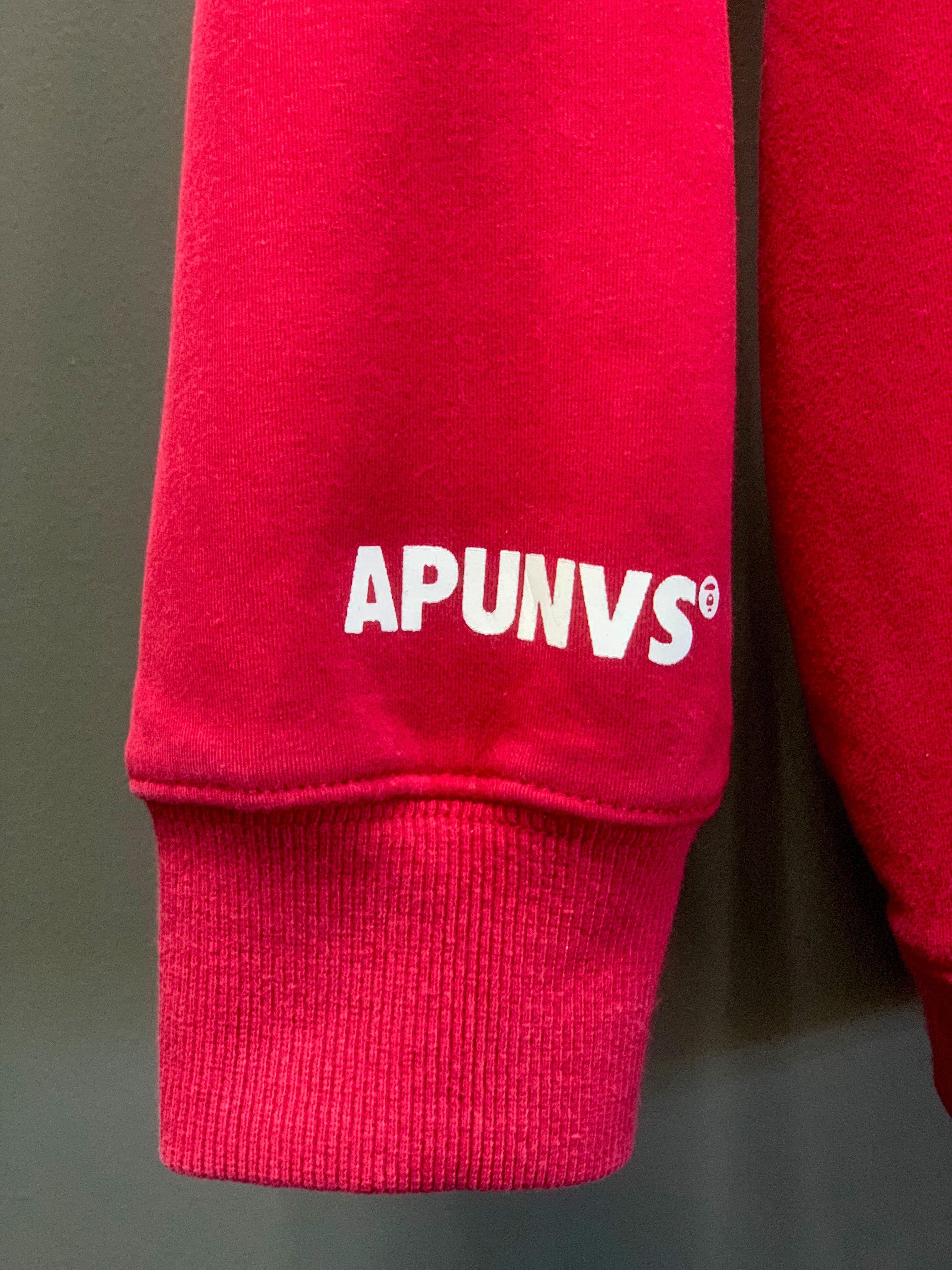 Bape APUNVS Hoodie - Medium