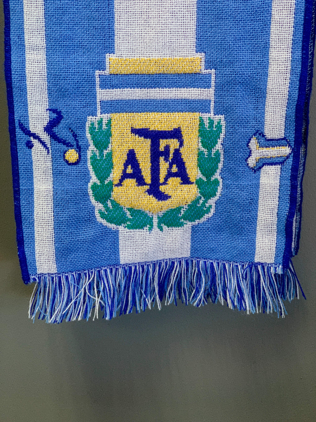 Argentina National Scarf