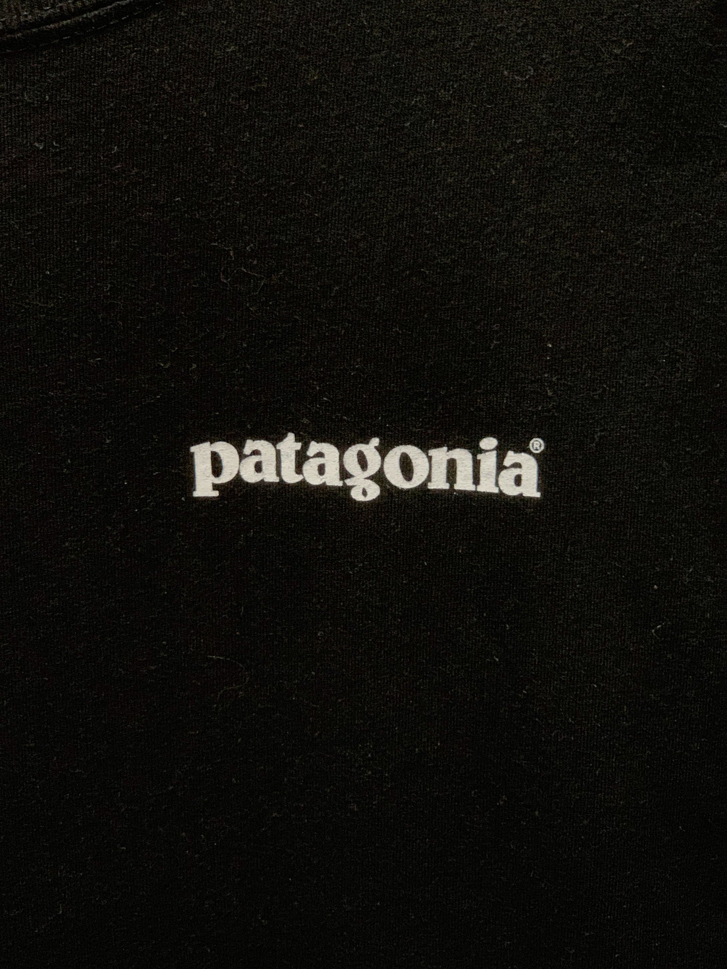 Patagonia Graphic Tee - Large