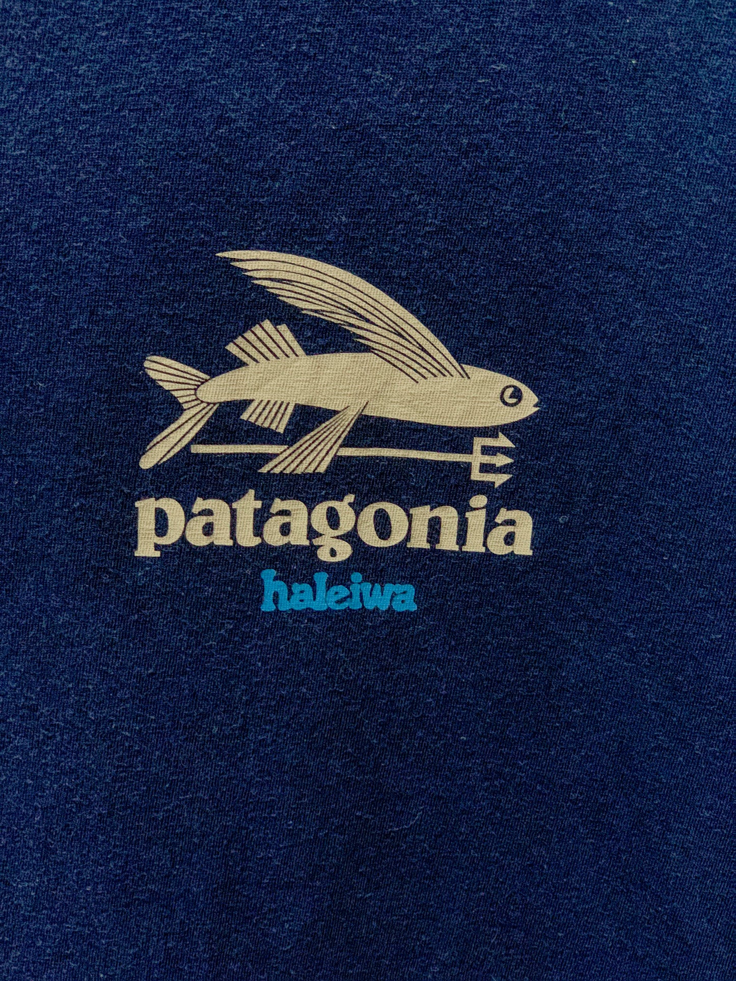 Patagonia Haleiwa Tee - Medium