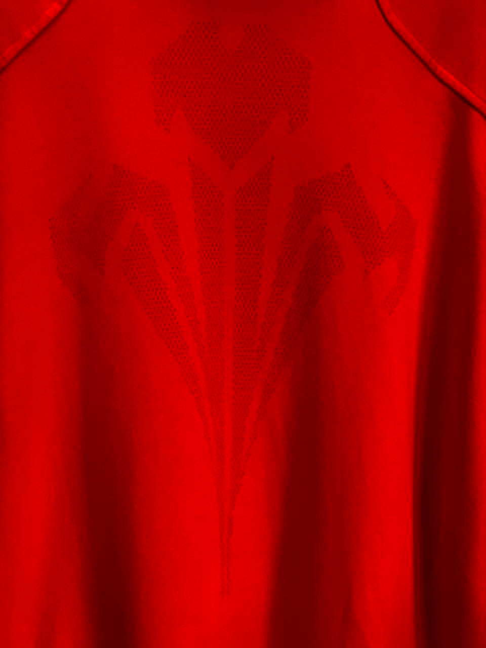 Wales 2007 Rugby Jersey - Extra Large