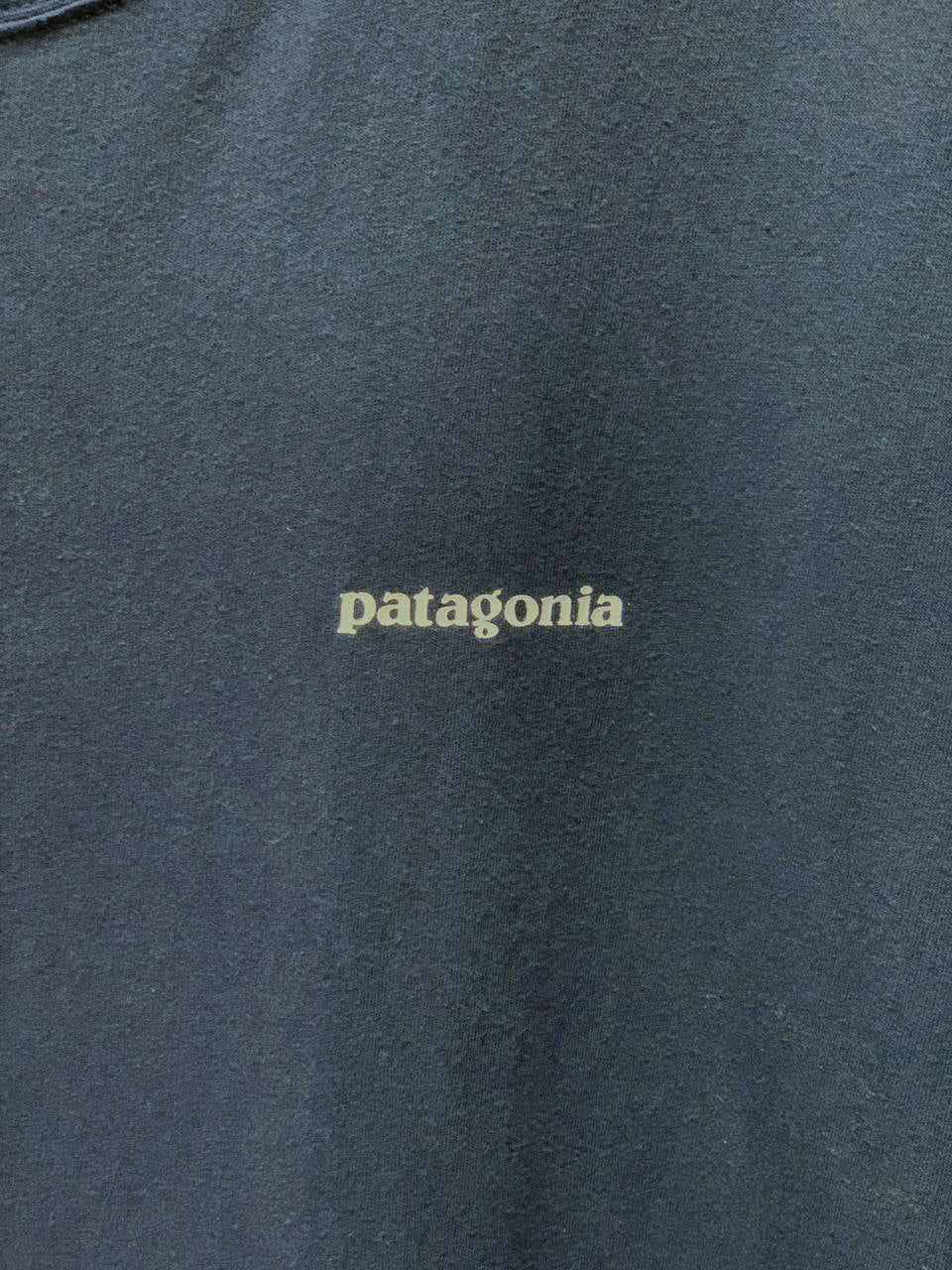 Patagonia Responsibili-Tee - Large