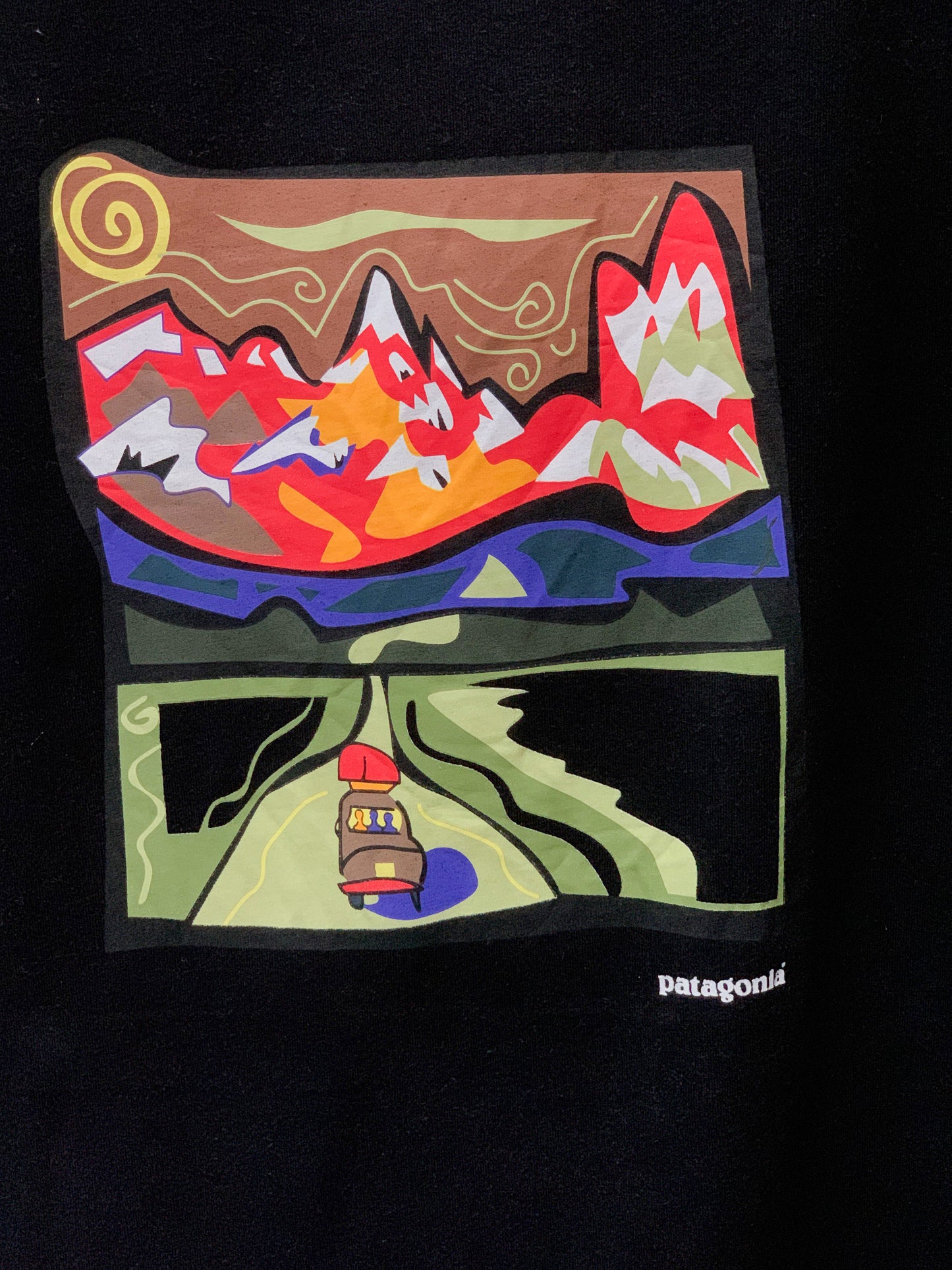 Patagonia Graphic Tee - Large