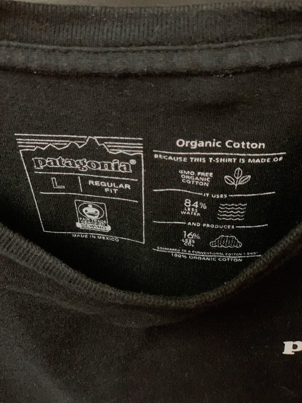 Patagonia Graphic Tee - Large