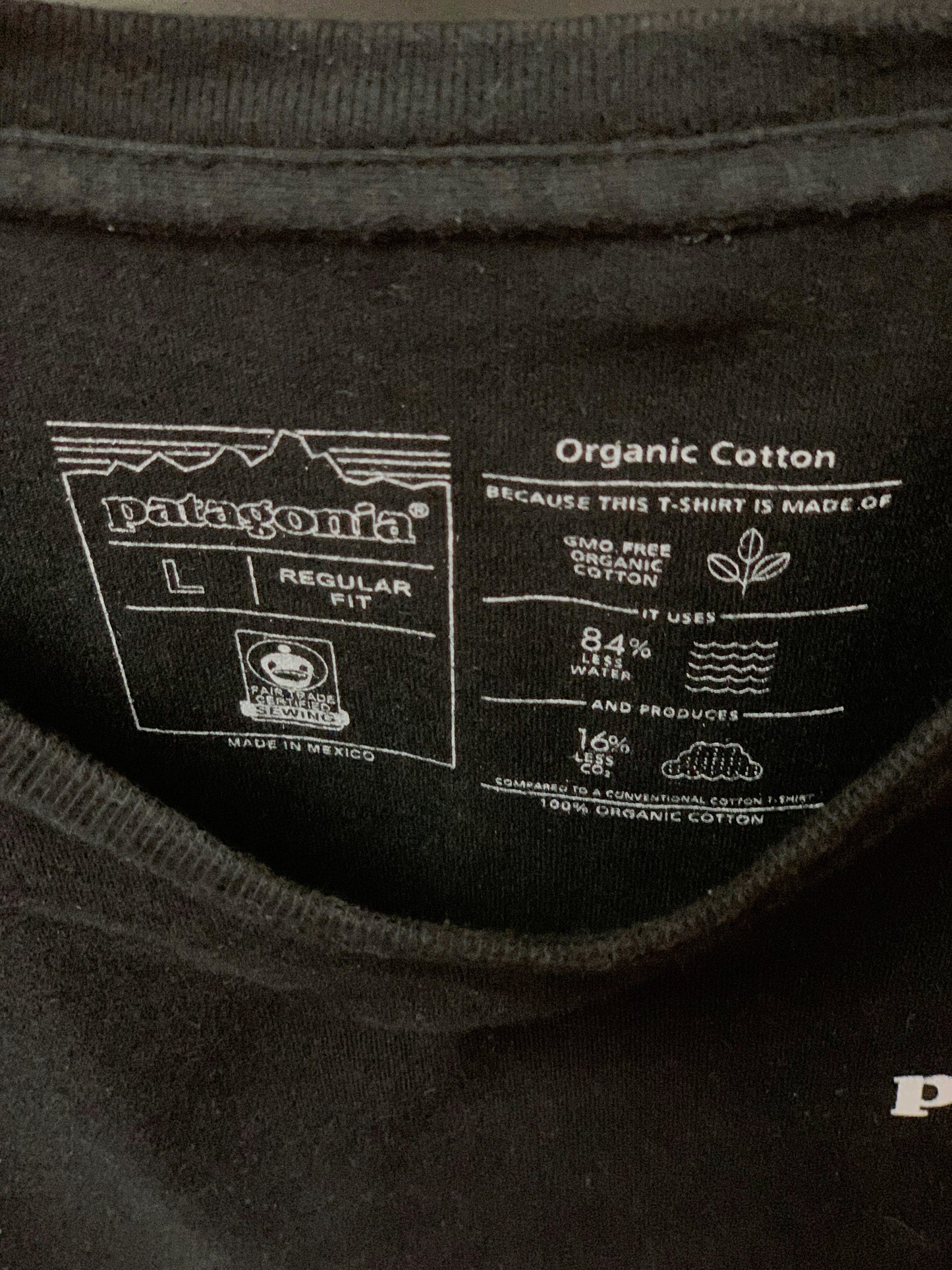 Patagonia Graphic Tee - Large