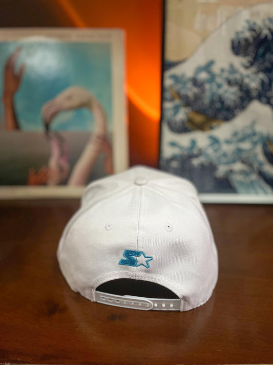 Charlotte Hornets NBA STARTER Black Label SnapBack