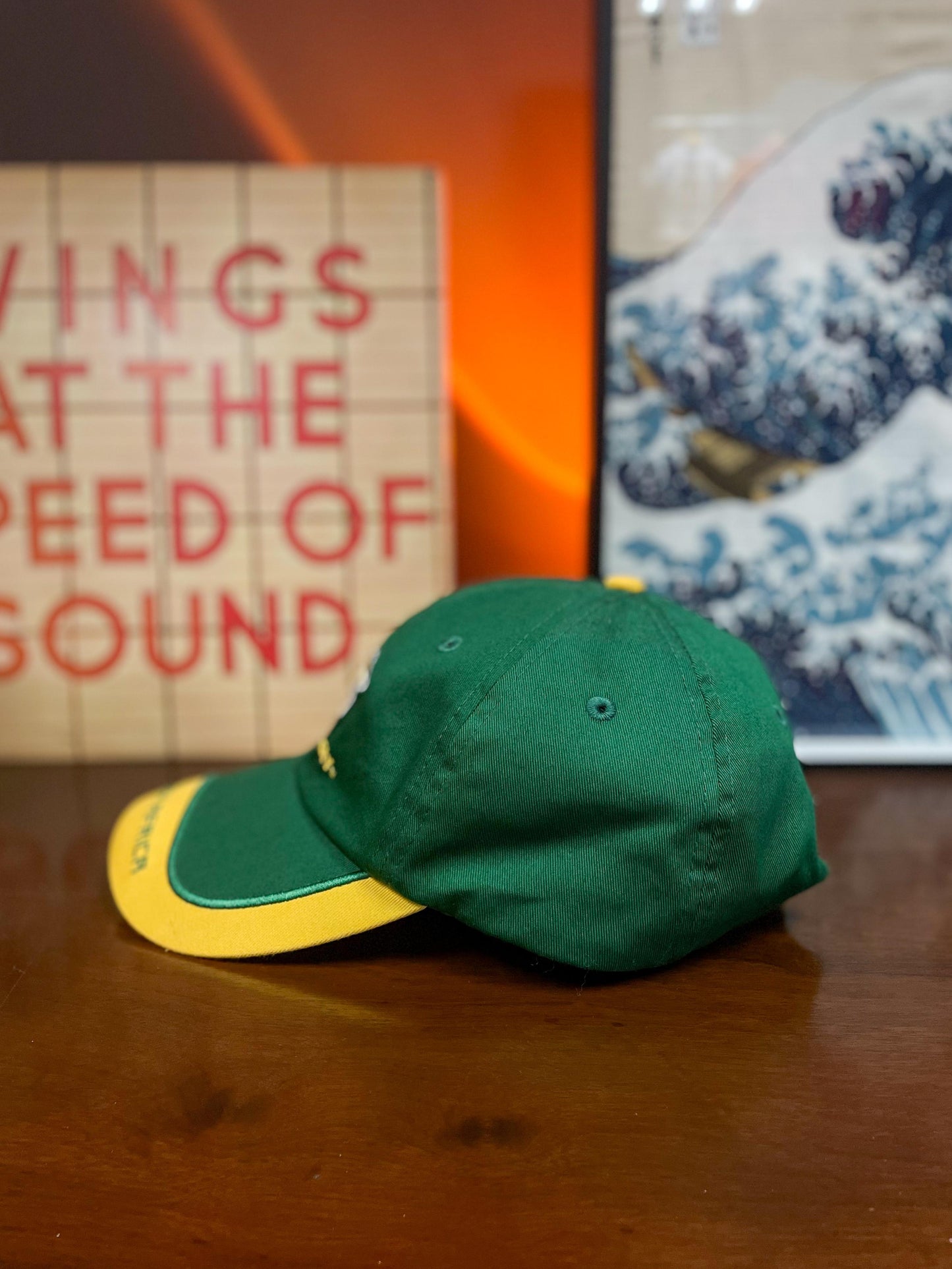 Springbok "British & Irish Lions 2009 Tour" Rugby Cap