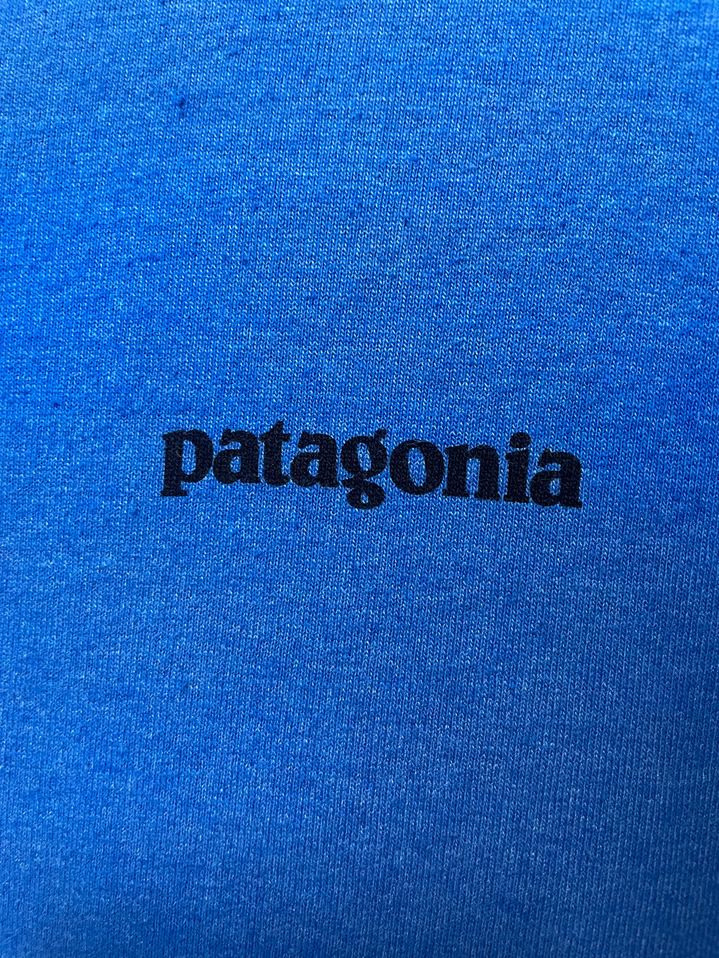 Patagonia P-6 Logo Responsibilitee Tee - Small