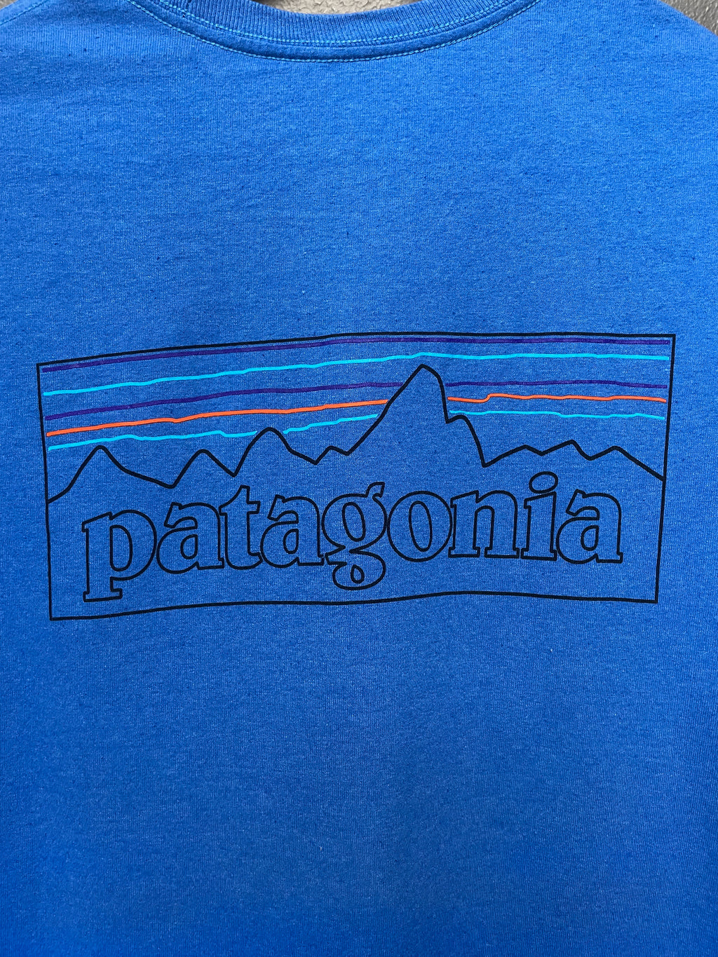 Patagonia P-6 Logo Responsibilitee Tee - Small
