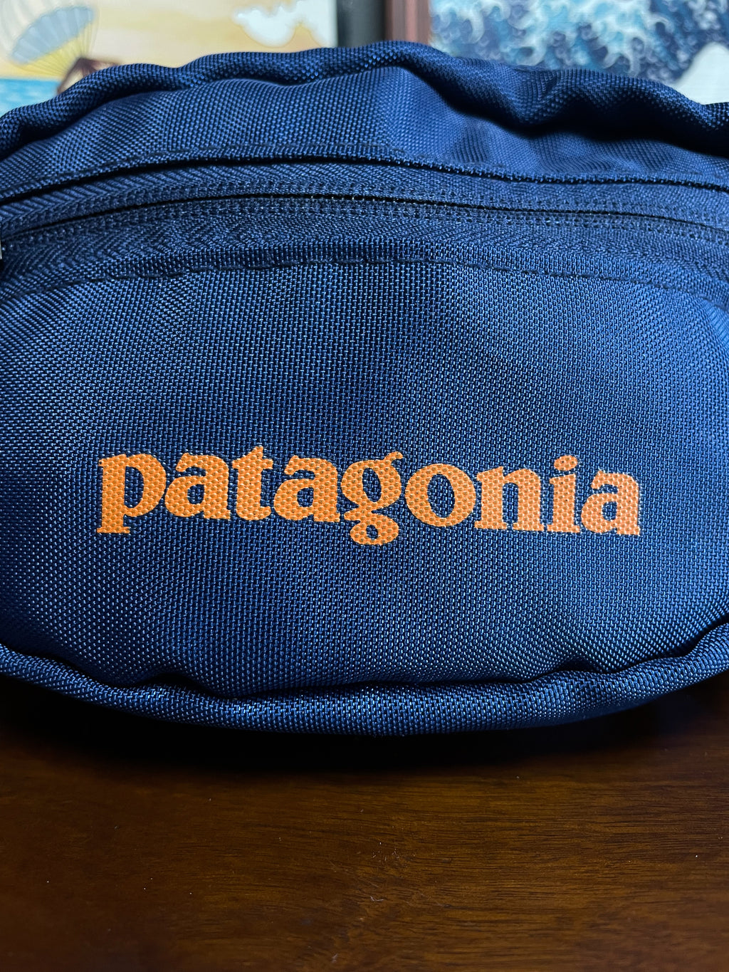 Patagonia Bum Bag