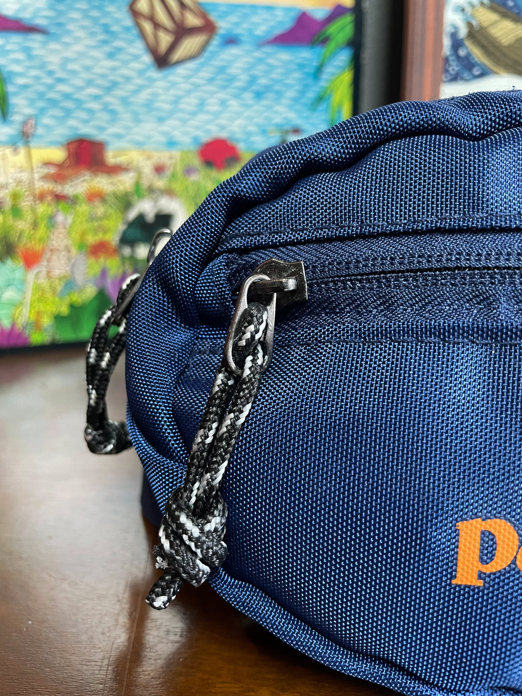 Patagonia Bum Bag