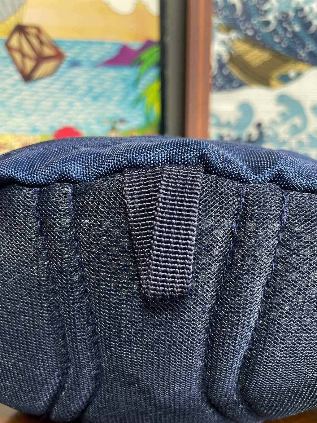 Patagonia Bum Bag