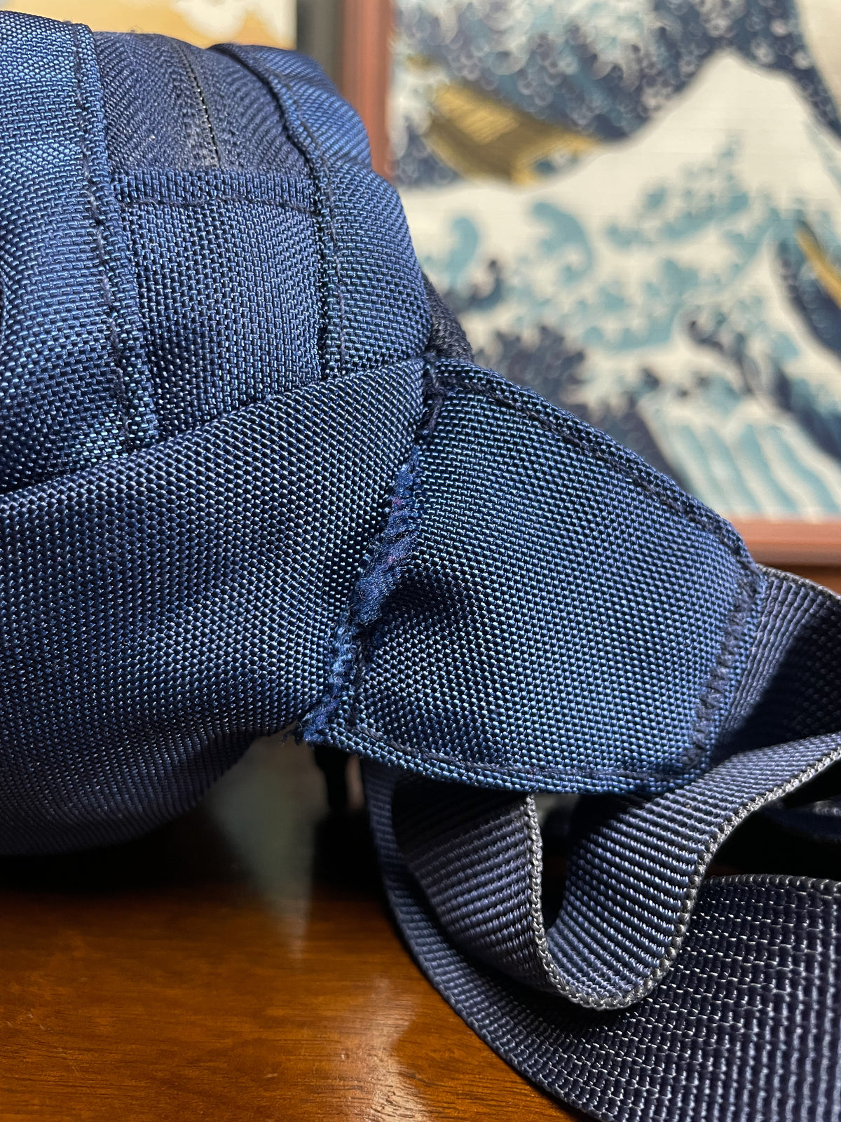 Patagonia Bum Bag