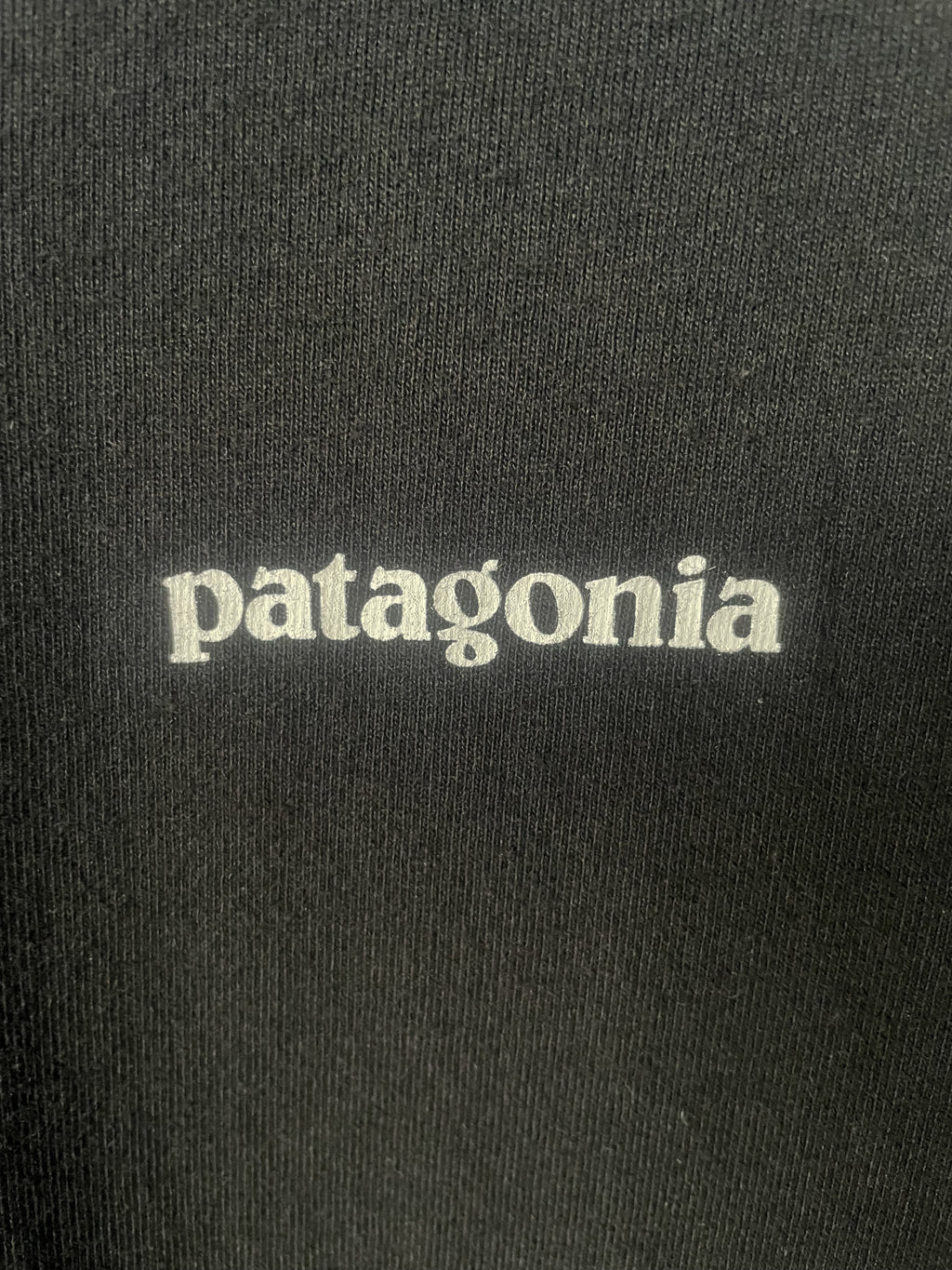 Patagonia Responsibili-tee - Large