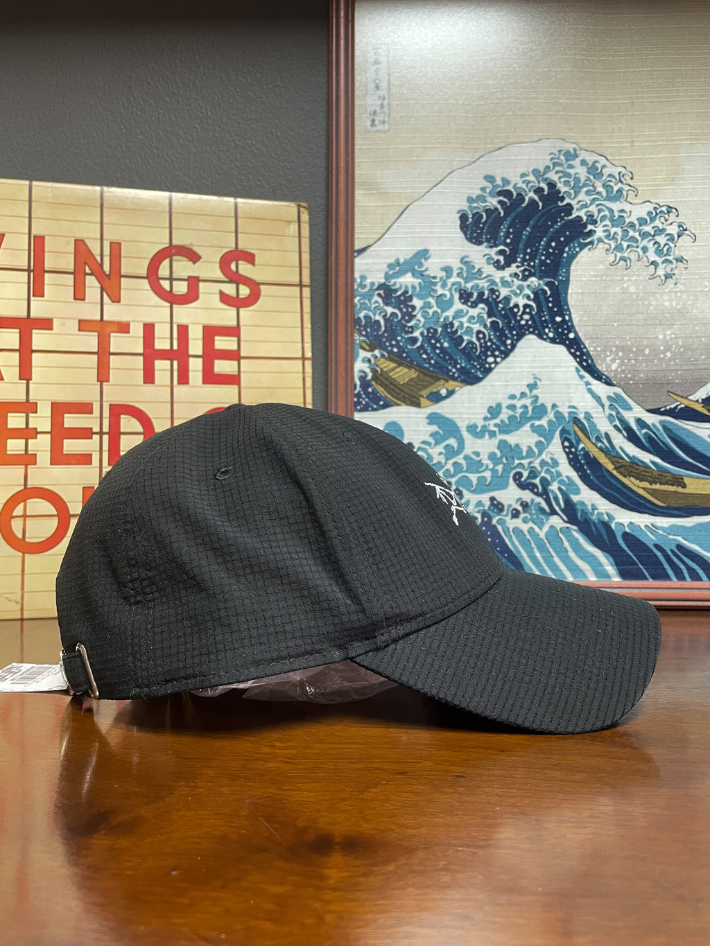Arc'teryx Active Cap