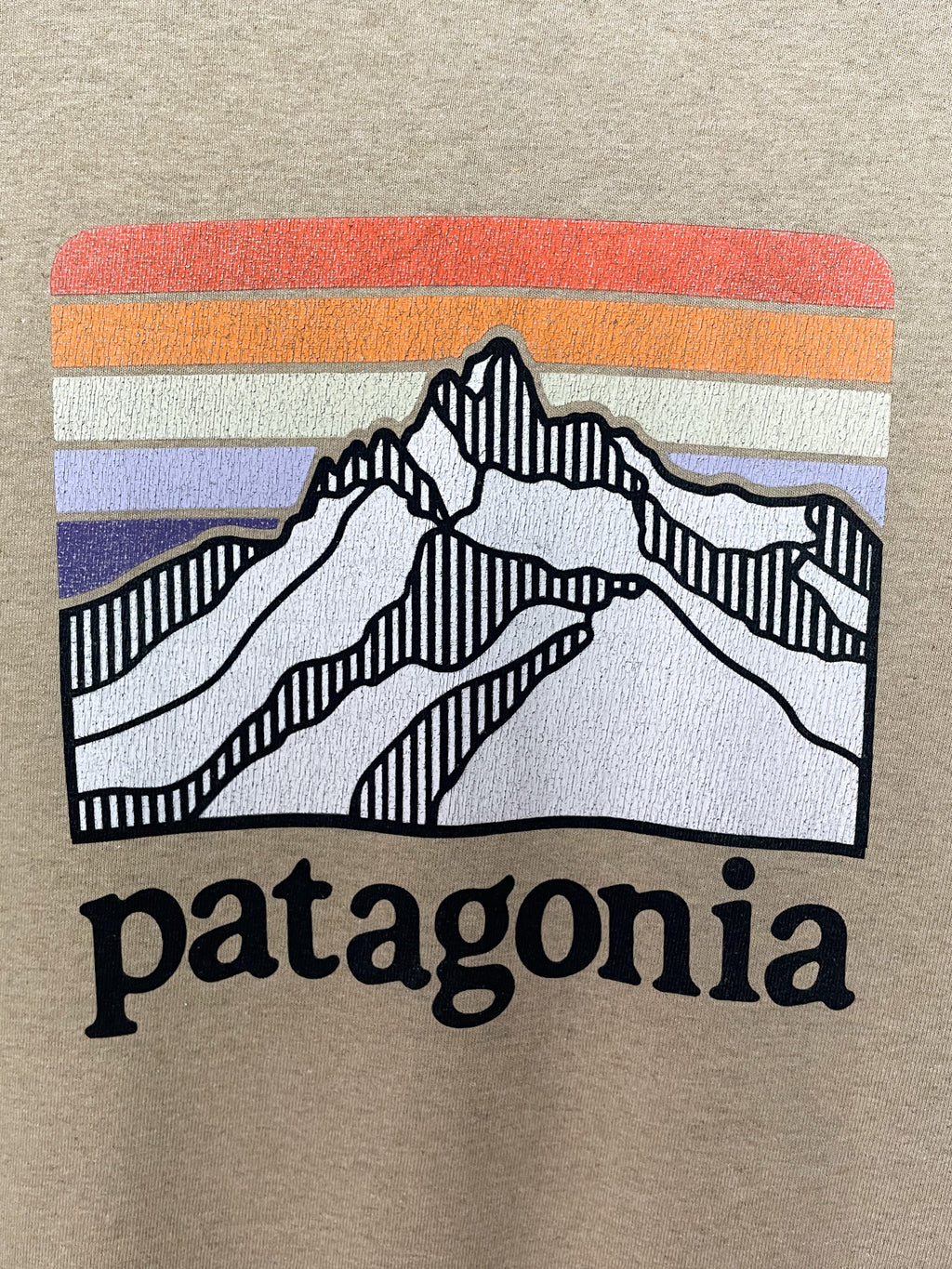 Patagonia Line Logo Ridge Tee - Large