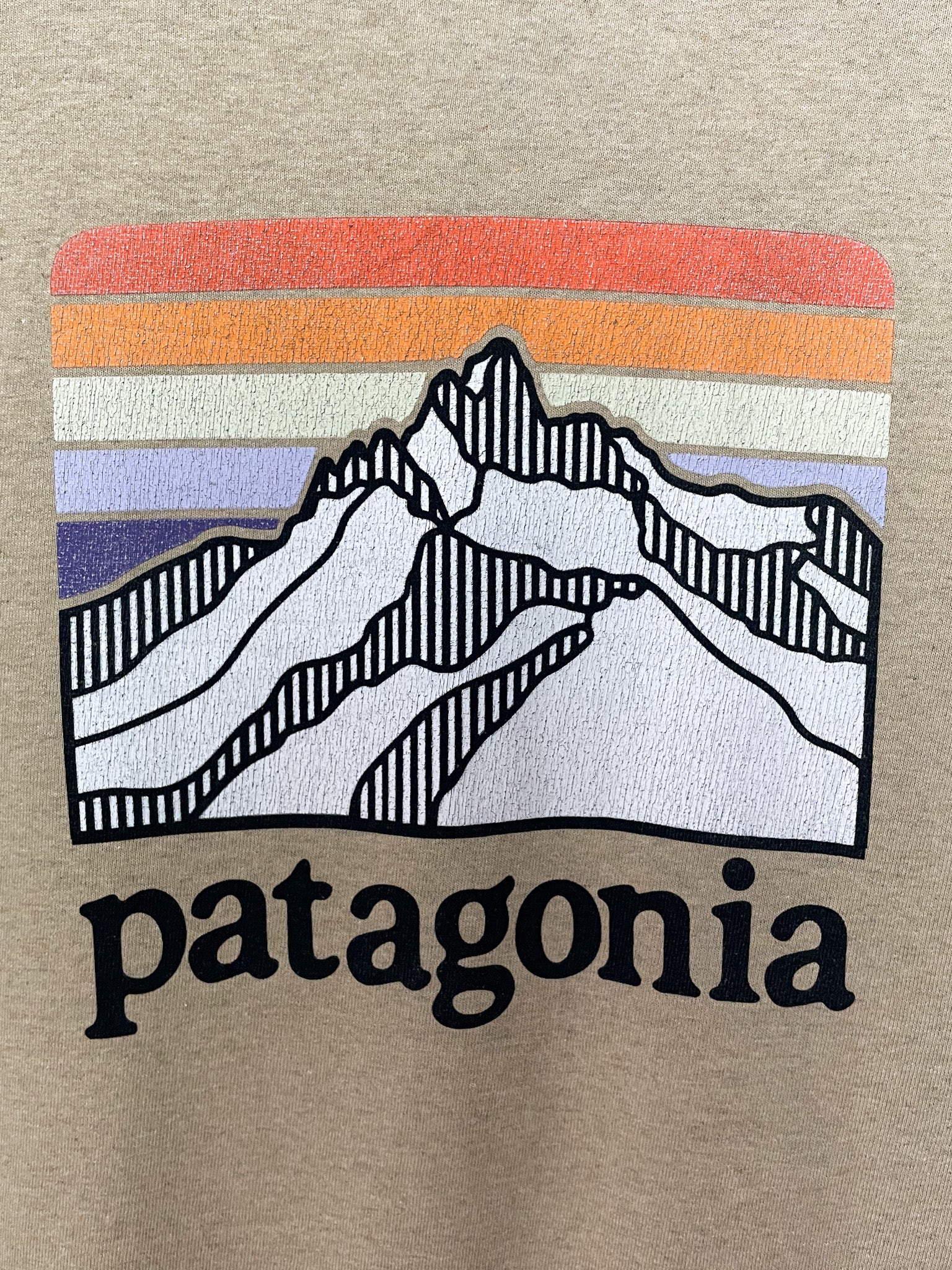 Patagonia Line Logo Ridge Tee - Large
