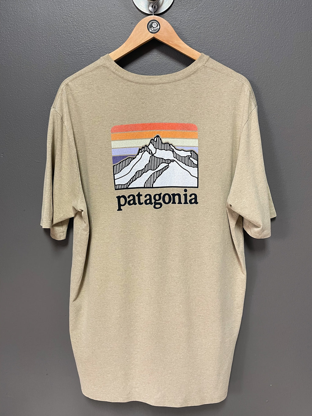 Patagonia Line Logo Ridge Tee - Large