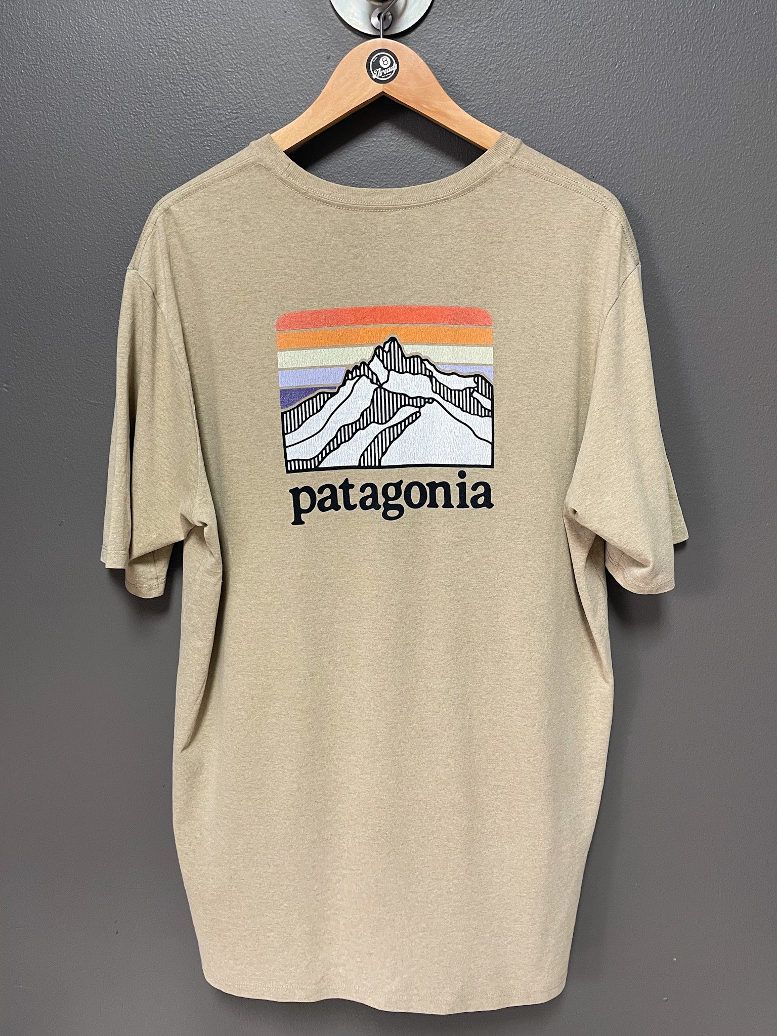 Patagonia Line Logo Ridge Tee - Large