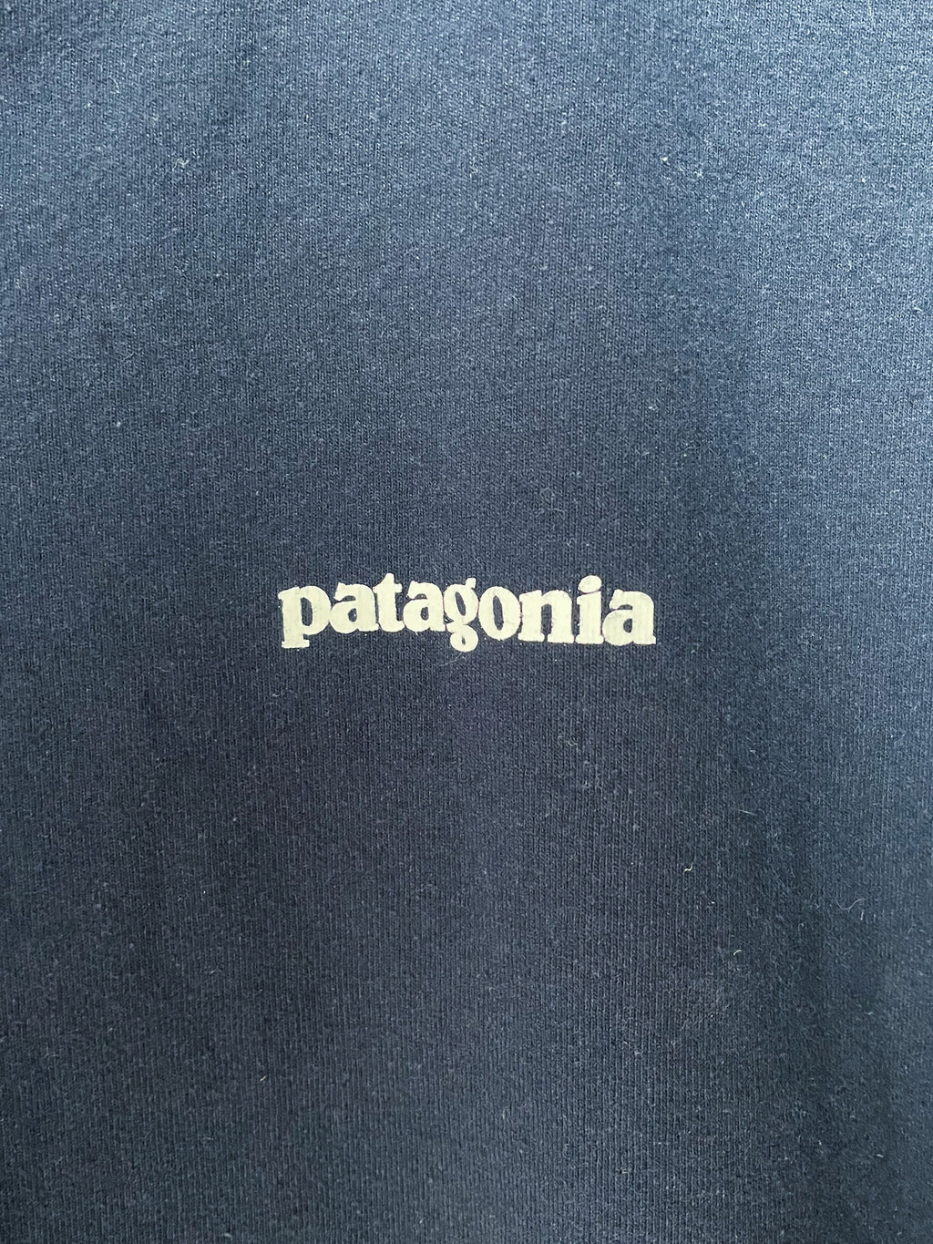 Patagonia Responsibili-tee- Large