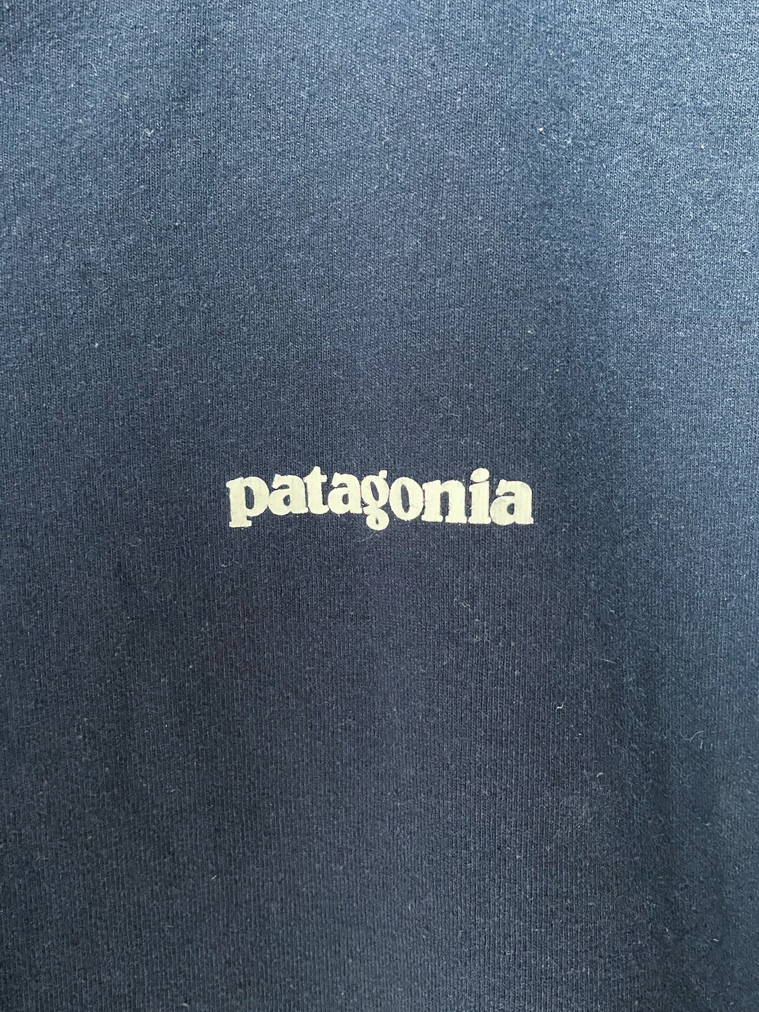 Patagonia Responsibili-tee- Large