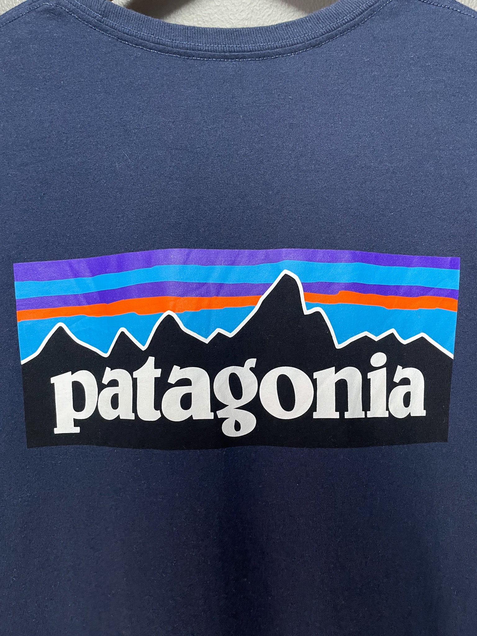 Patagonia Responsibili-tee- Large