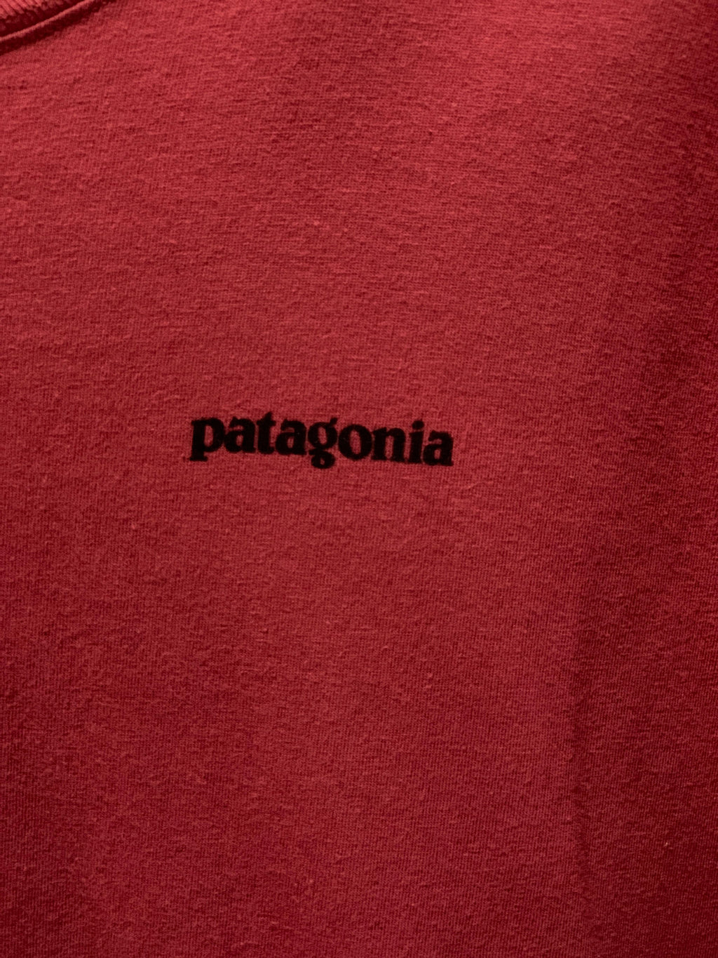 Patagonia Responsibili-Tee - Large
