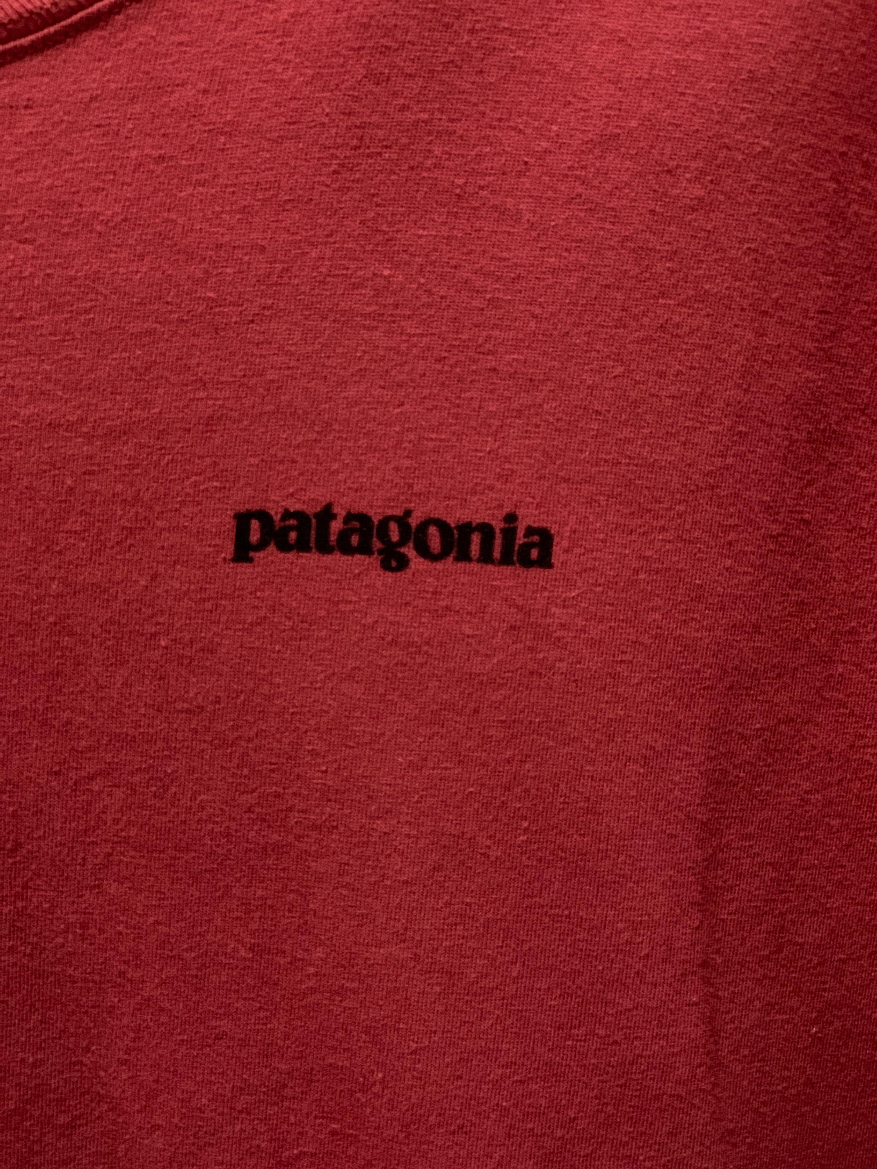 Patagonia Responsibili-Tee - Large