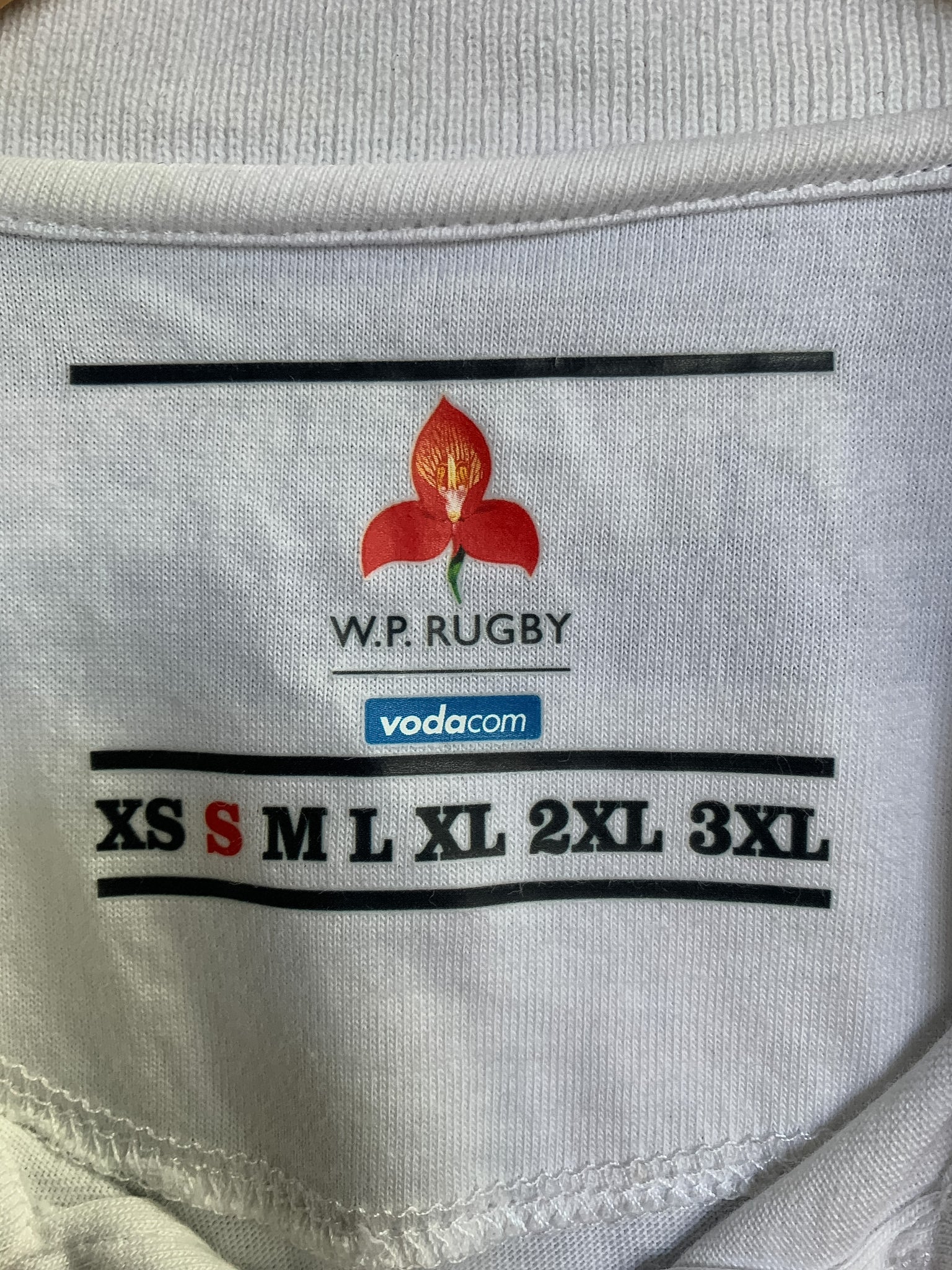 Western Province Stormers Cotton Rugby Jersey - Small