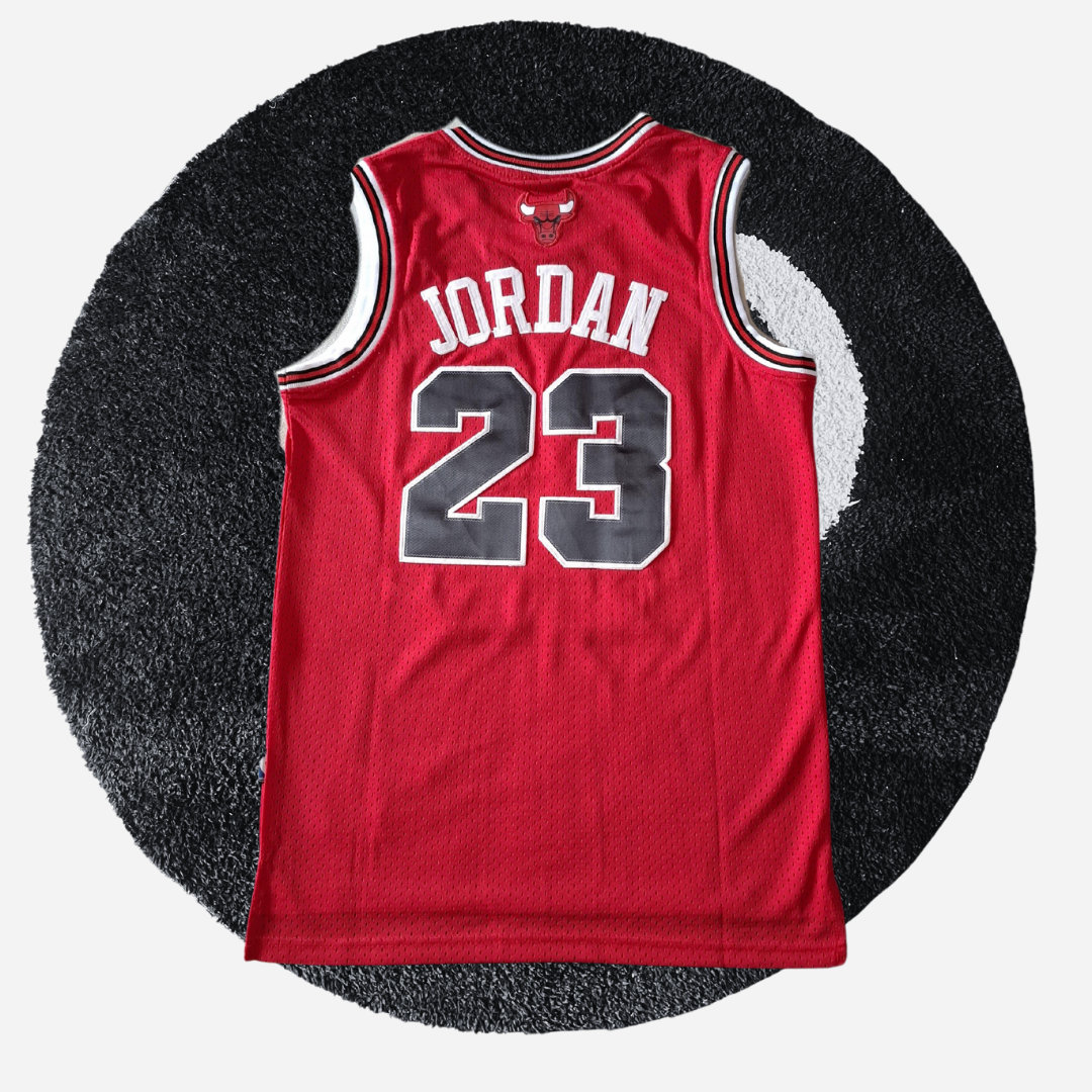 Chicago Bulls "Michael Jordan 23" Nike NBA Basketball Vest